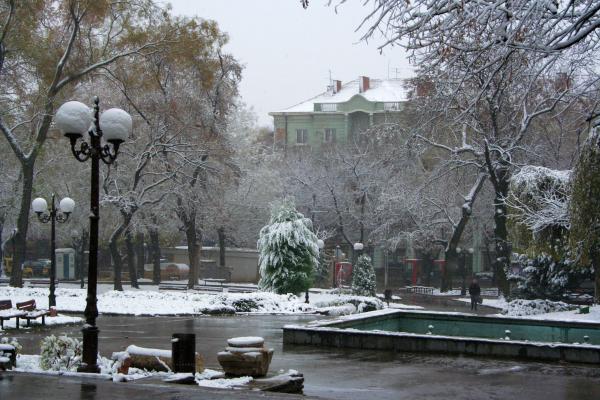 Централната градска градина